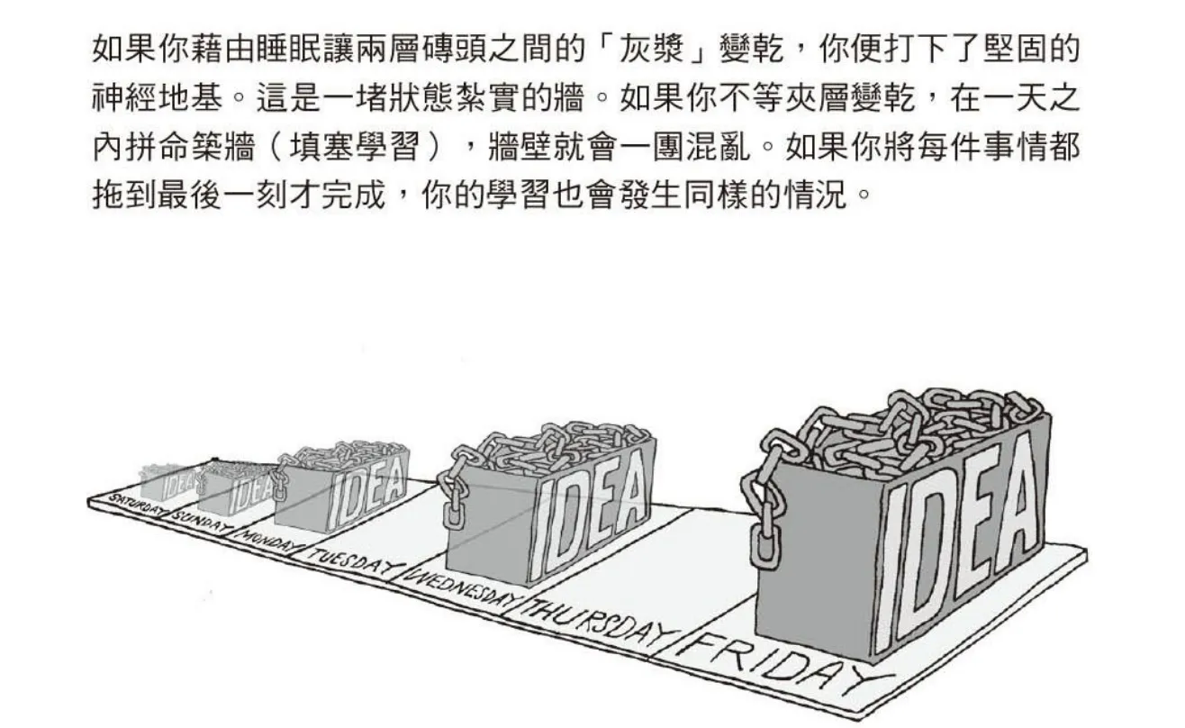 learning_how_to_learn_6